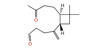 Caryophyllene aldehyde